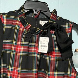 JCrew new Holiday dress